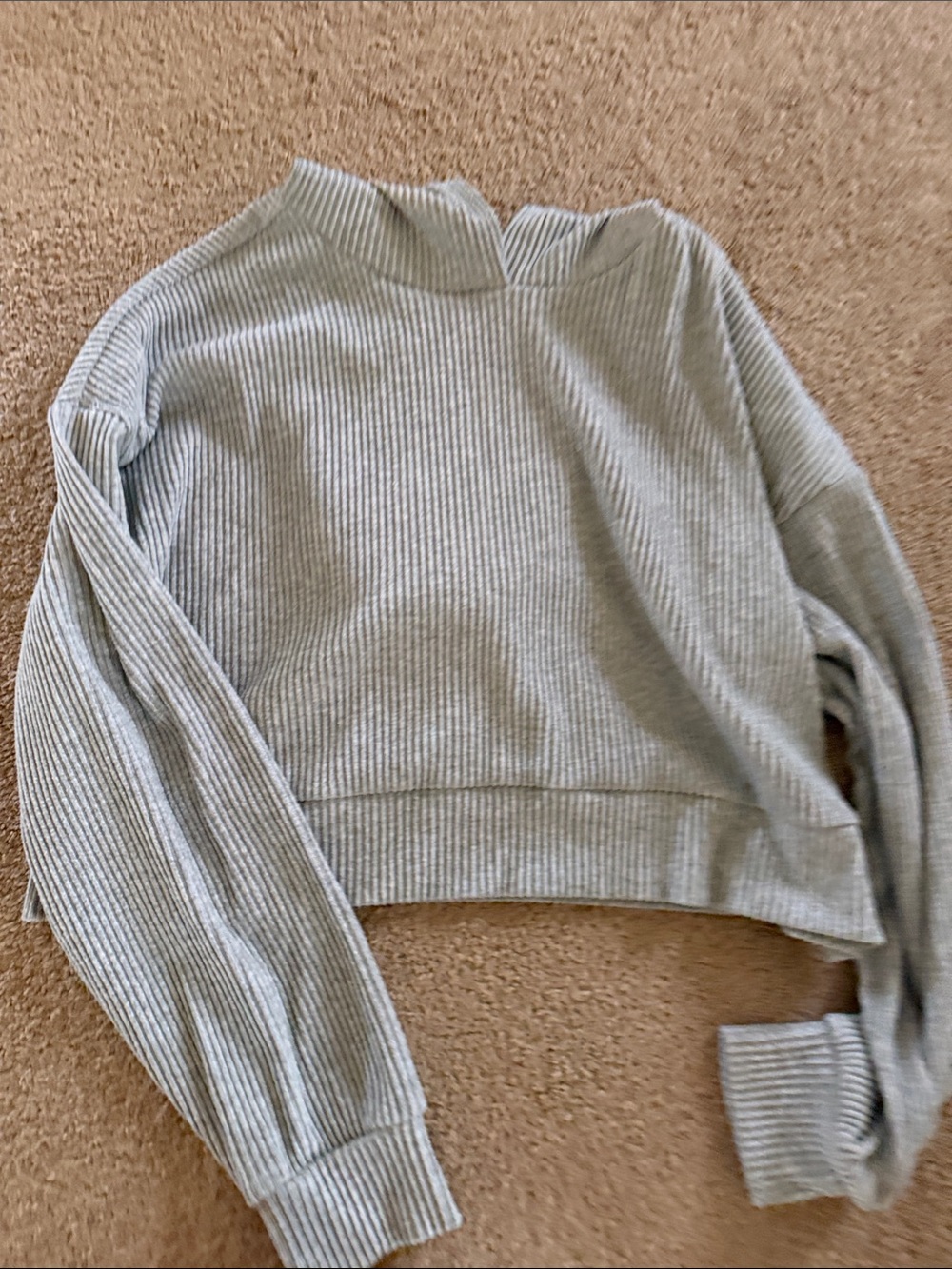 Light Gray Ribbed Cropped Sweatshirt